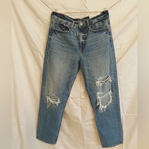 AE boyfriend straight leg jeans